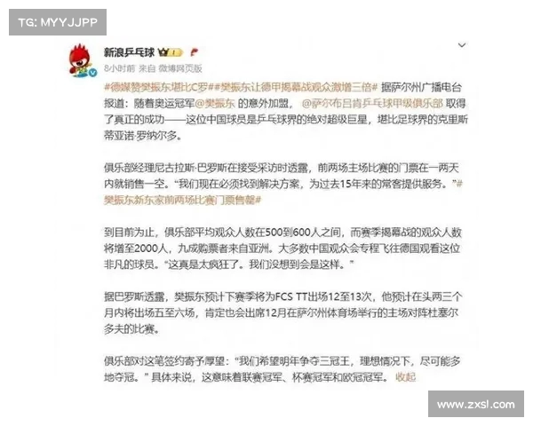 德甲联赛上座率分析及其对球队表现和观众文化的影响
